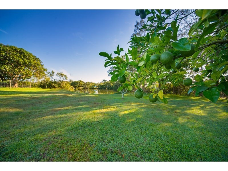 147 Old Bridge Road, Coopernook NSW 2426