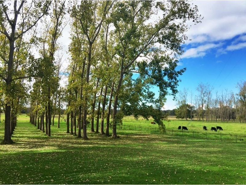 112 Manning River Drive, Taree NSW 2430