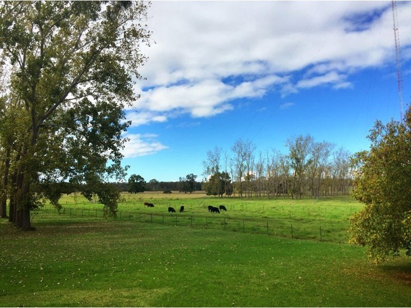 112 Manning River Drive, Taree NSW 2430