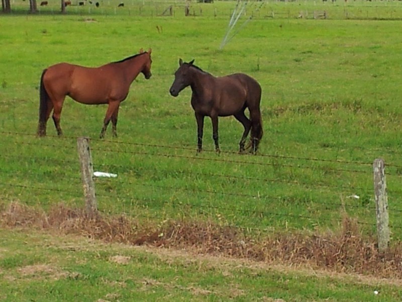 112 Manning River Drive, Taree NSW 2430