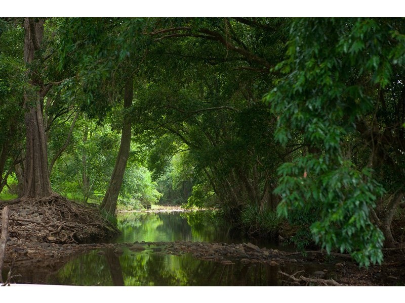 4924 The Bucketts Way, Kundibakh NSW 2429