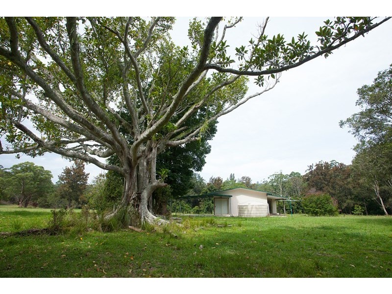 4924 The Bucketts Way, Kundibakh NSW 2429