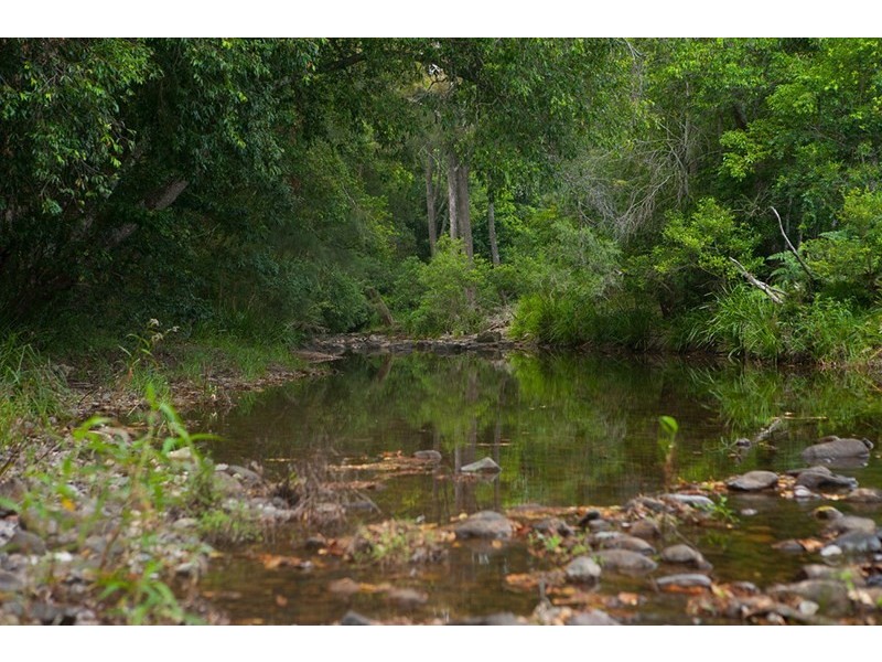 4924 The Bucketts Way, Kundibakh NSW 2429