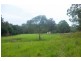 4924 The Bucketts Way, Kundibakh NSW 2429