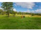 296 Youngs Road, Wingham NSW 2429