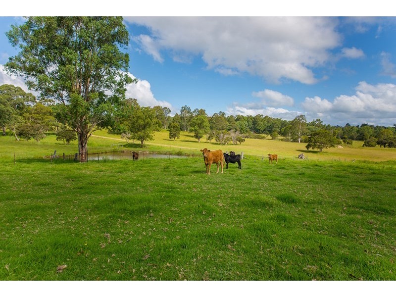 296 Youngs Road, Wingham NSW 2429