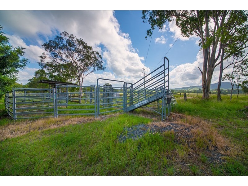 296 Youngs Road, Wingham NSW 2429