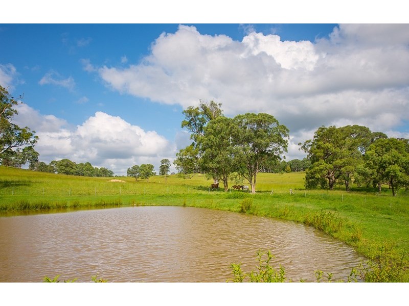 296 Youngs Road, Wingham NSW 2429