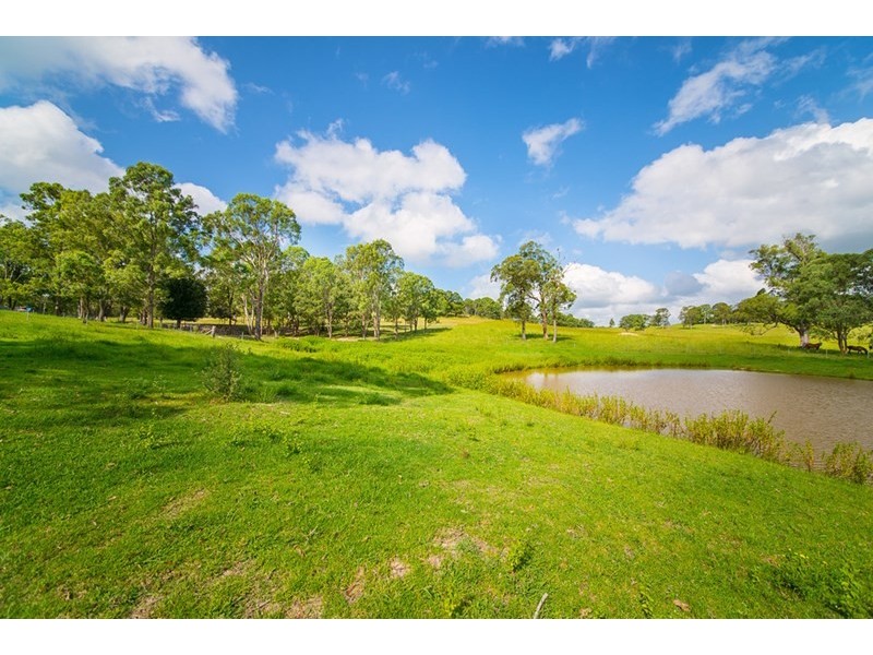 296 Youngs Road, Wingham NSW 2429