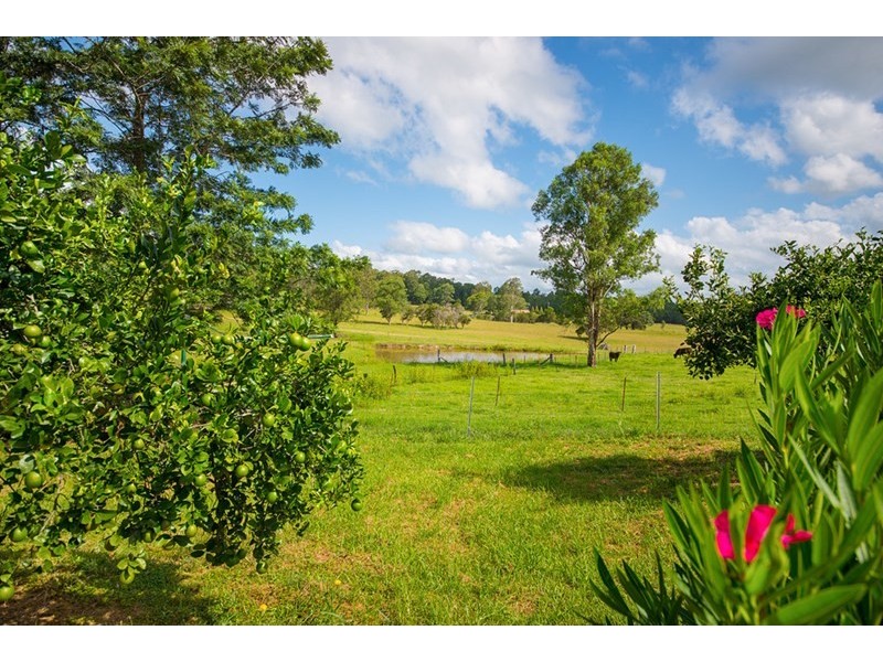 296 Youngs Road, Wingham NSW 2429