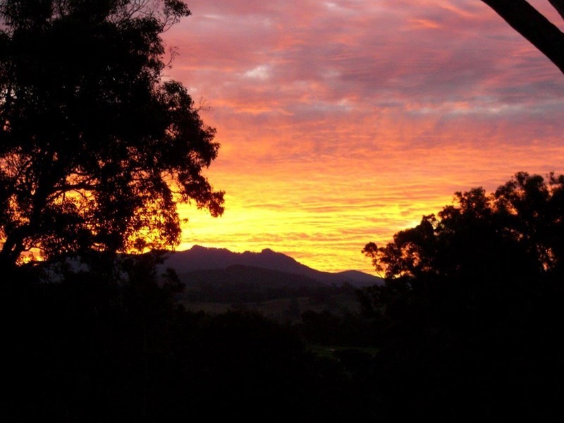 79 Glenyarra Road, Wingham NSW 2429