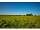 40 Oxley Bend Road, Cundletown NSW 2430