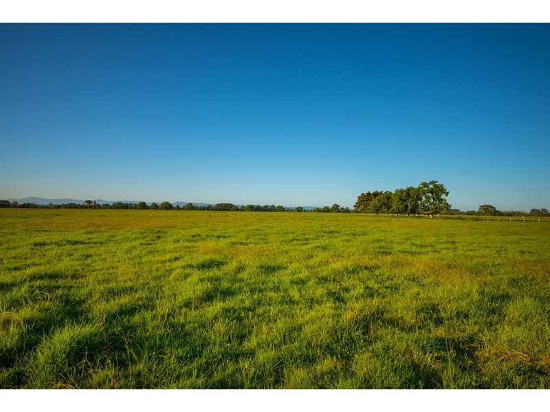 40 Oxley Bend Road, Cundletown NSW 2430