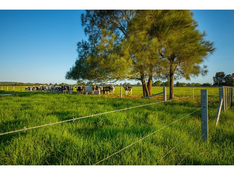 40 Oxley Bend Road, Cundletown NSW 2430