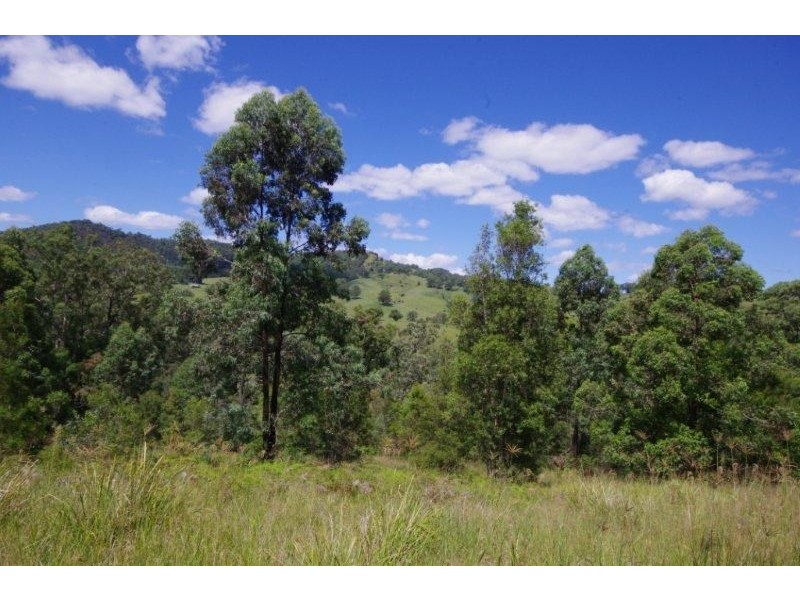 989 Mooral Creek Road, Strathcedar NSW 2429