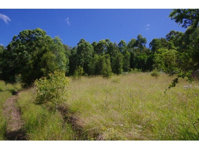 989 Mooral Creek Road, Strathcedar NSW 2429