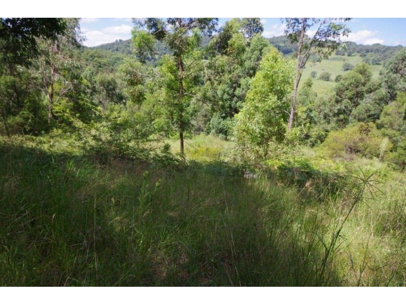 989 Mooral Creek Road, Strathcedar NSW 2429