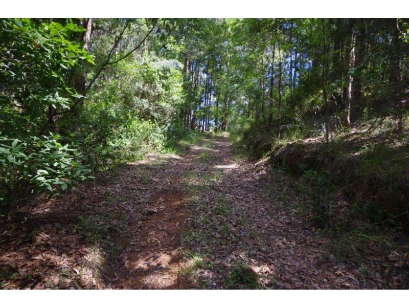 989 Mooral Creek Road, Strathcedar NSW 2429