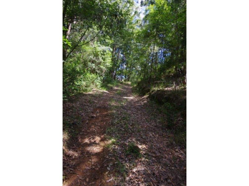 989 Mooral Creek Road, Strathcedar NSW 2429