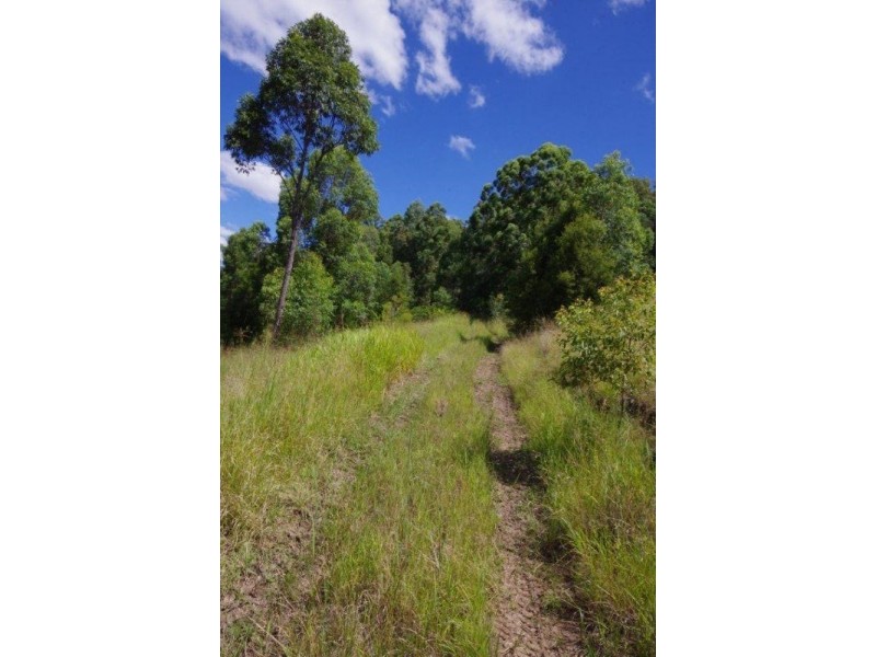 989 Mooral Creek Road, Strathcedar NSW 2429