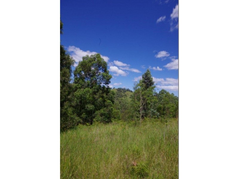 989 Mooral Creek Road, Strathcedar NSW 2429