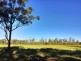 555 Follies Road, Taree NSW 2430