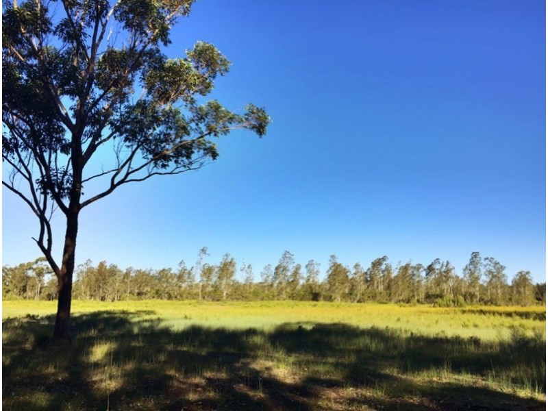 555 Follies Road, Taree NSW 2430