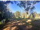 555 Follies Road, Taree NSW 2430