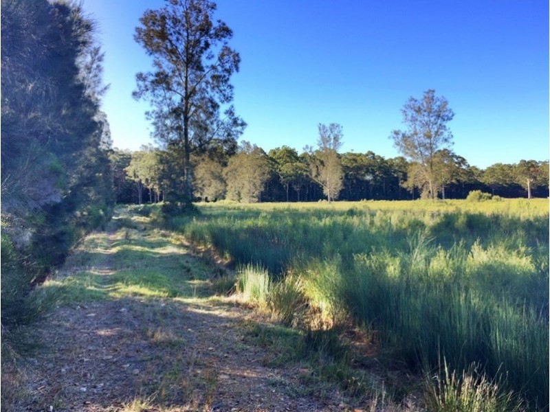 555 Follies Road, Taree NSW 2430