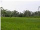 555 Follies Road, Taree NSW 2430