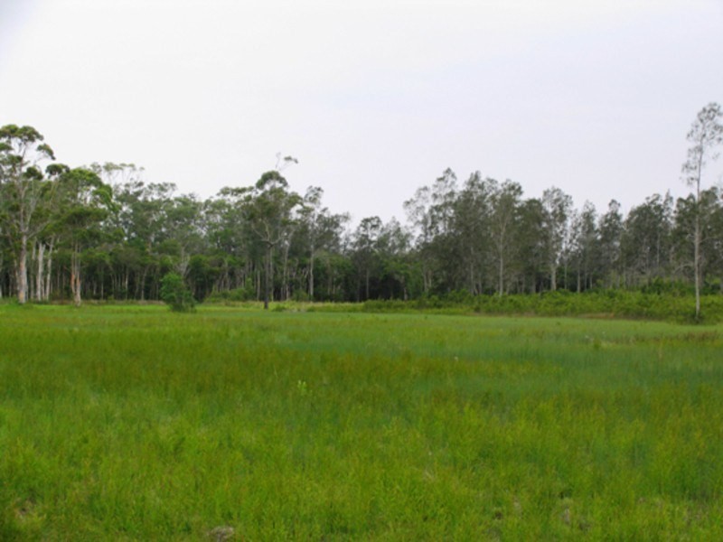555 Follies Road, Taree NSW 2430