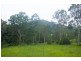 4885 The Bucketts Way, Kundibakh NSW 2429