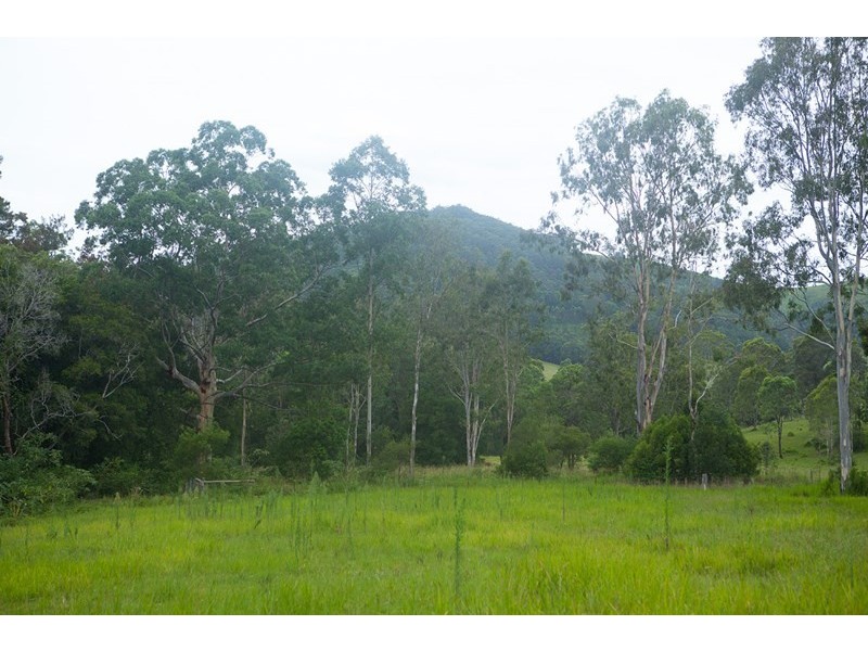 4885 The Bucketts Way, Kundibakh NSW 2429