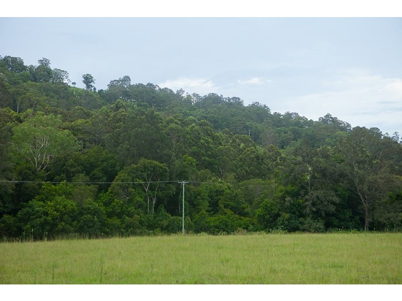 4885 The Bucketts Way, Kundibakh NSW 2429