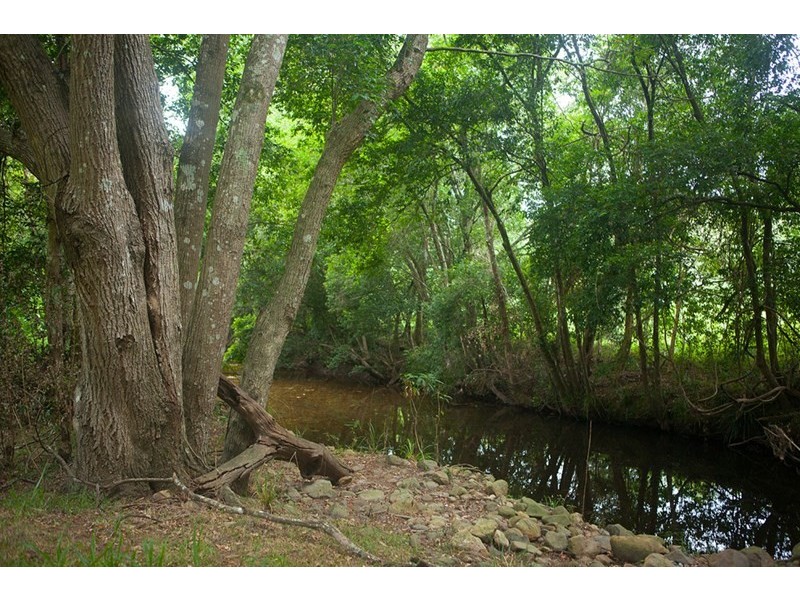 4885 The Bucketts Way, Kundibakh NSW 2429