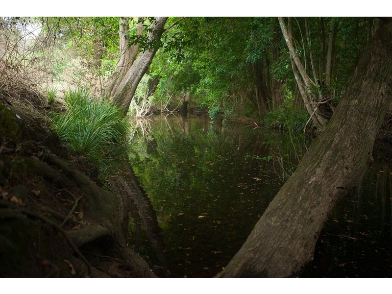 4885 The Bucketts Way, Kundibakh NSW 2429