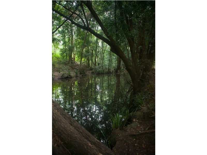 4885 The Bucketts Way, Kundibakh NSW 2429