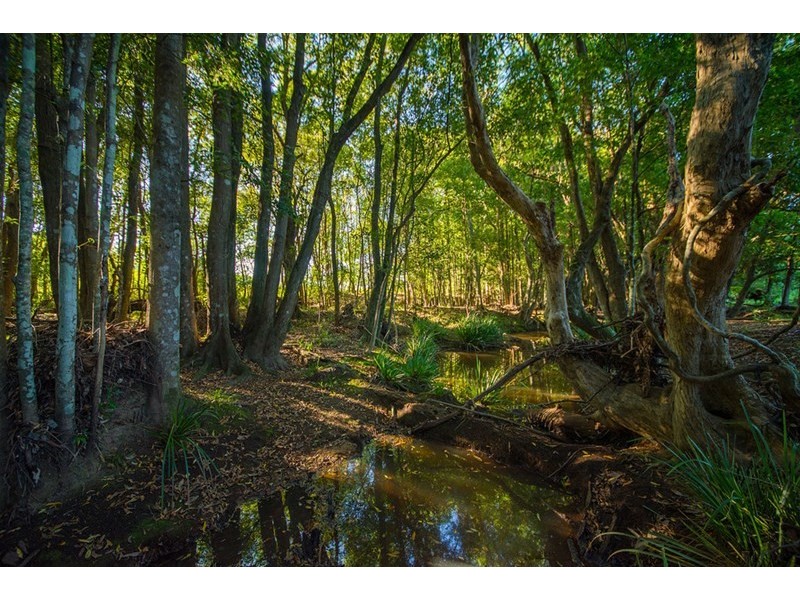 1697 Lansdowne Road, Coopernook NSW 2426