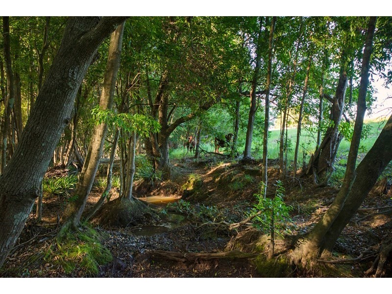 1697 Lansdowne Road, Coopernook NSW 2426