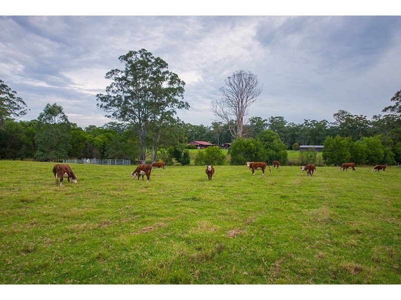 525 Hillville Road, Hillville NSW 2430