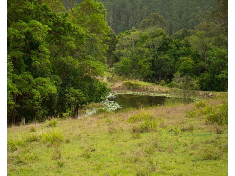 763 Mooral Creek Road, Strathcedar NSW 2429