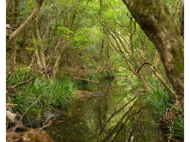 763 Mooral Creek Road, Strathcedar NSW 2429