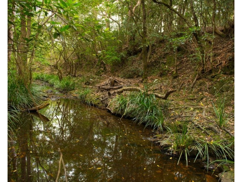 763 Mooral Creek Road, Strathcedar NSW 2429