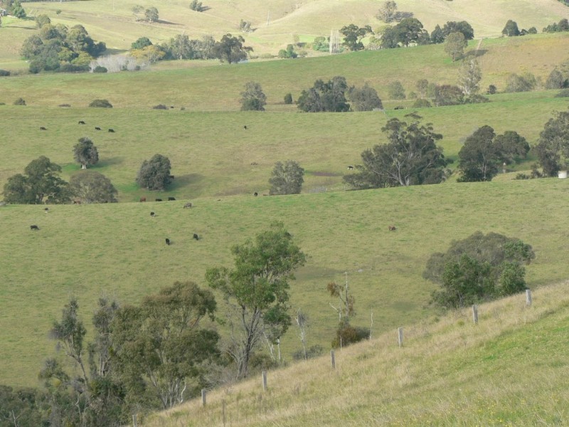 Mulbring NSW 2323