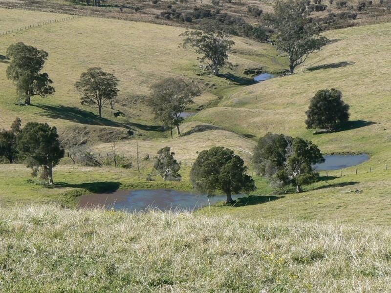 Mulbring NSW 2323