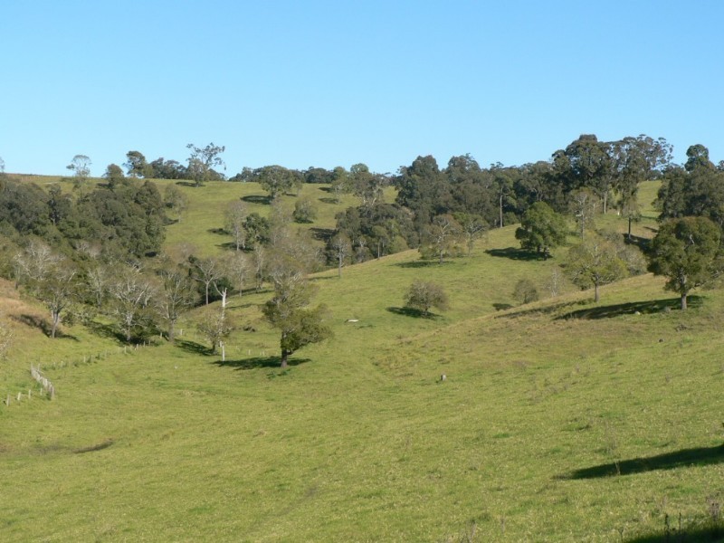 Mulbring NSW 2323
