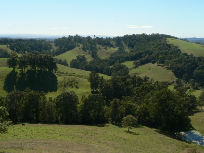 Mulbring NSW 2323