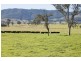 Gloucester NSW 2422