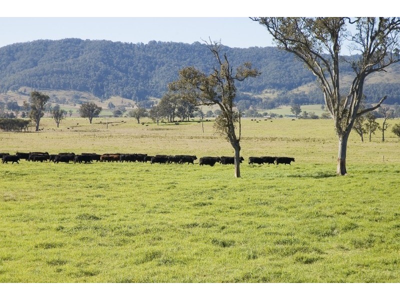 Gloucester NSW 2422