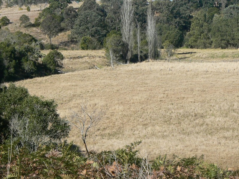 Wherrol Flat NSW 2429